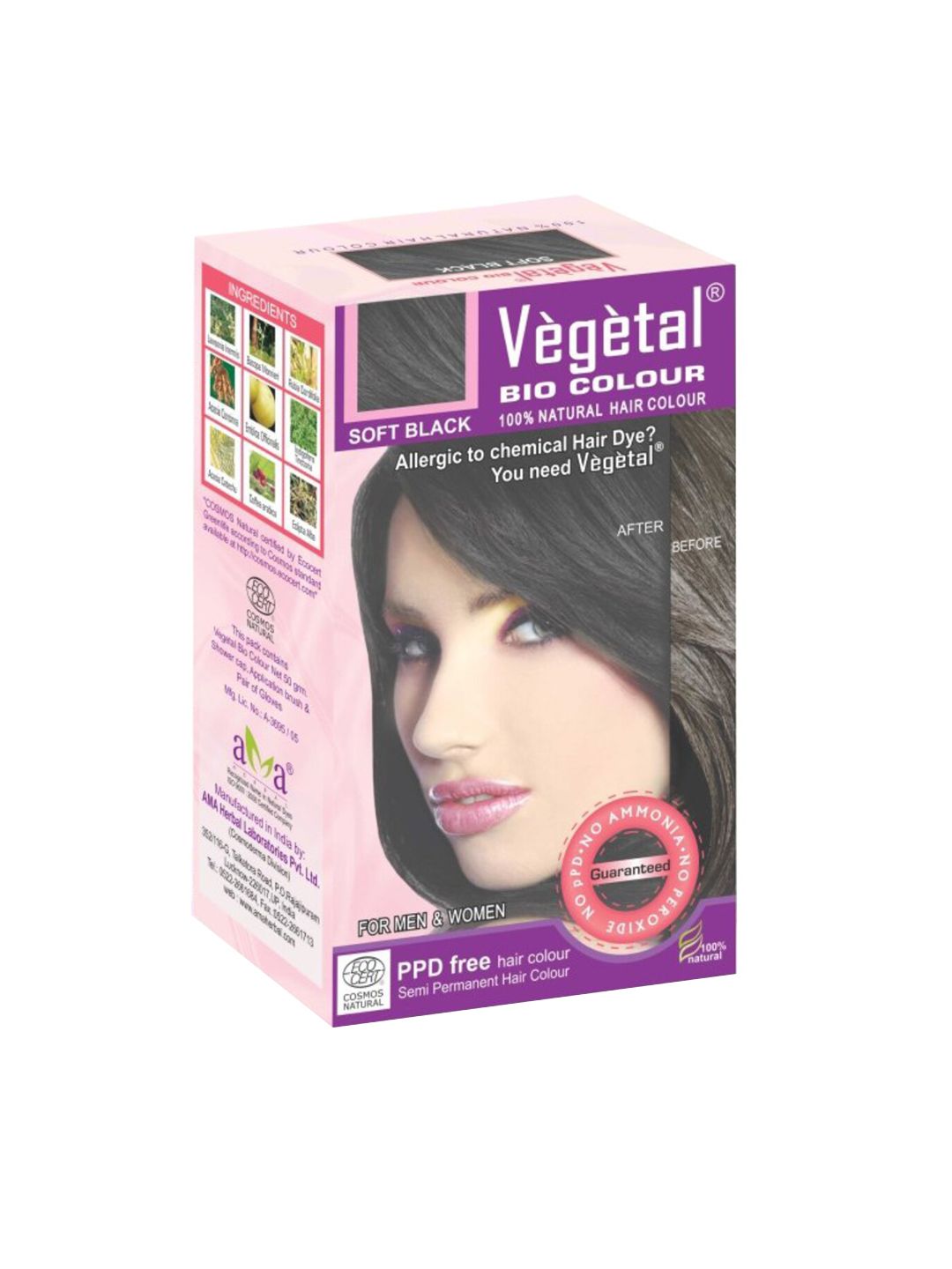 Vegetal Soft Black Hair Bio Colour 50 gm Price in India