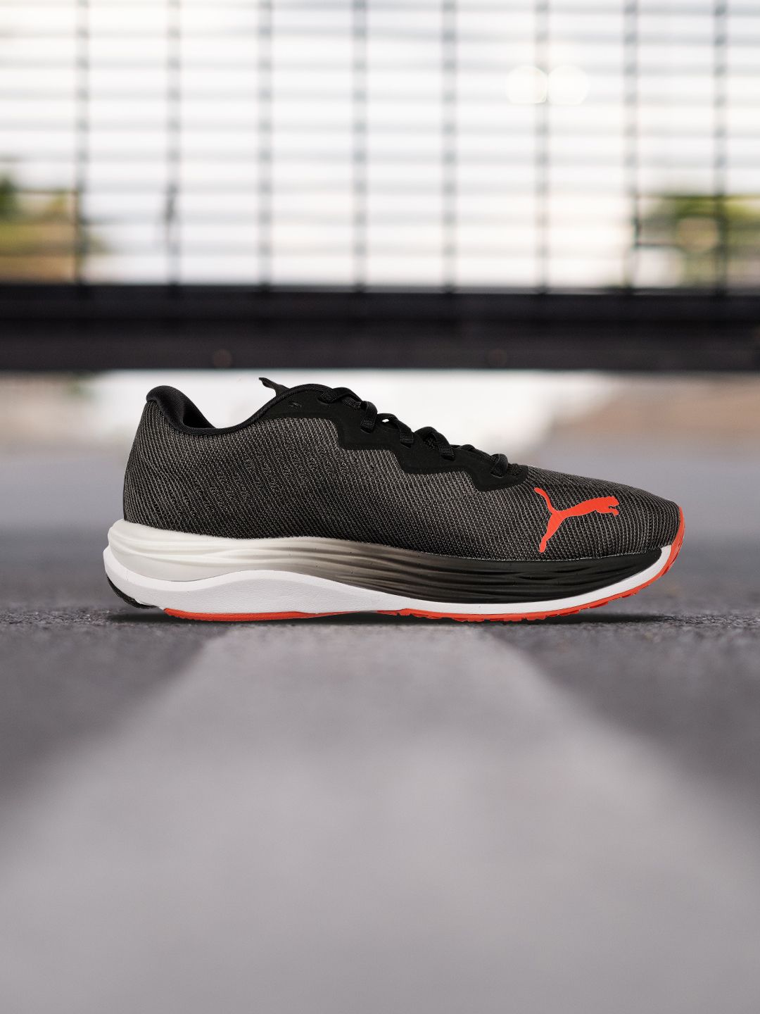 Puma Men Black one8 Virat Kohli Velocity Nitro 2 Running Shoes Price in India