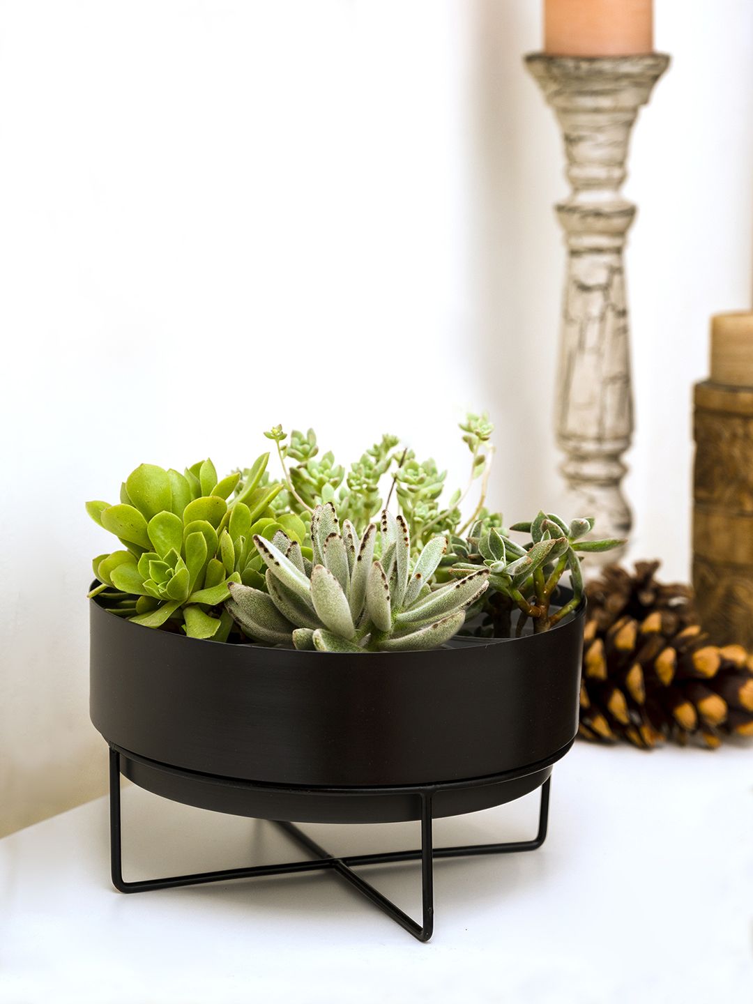 green girgit Black Solid Metal Planters With Stand Price in India