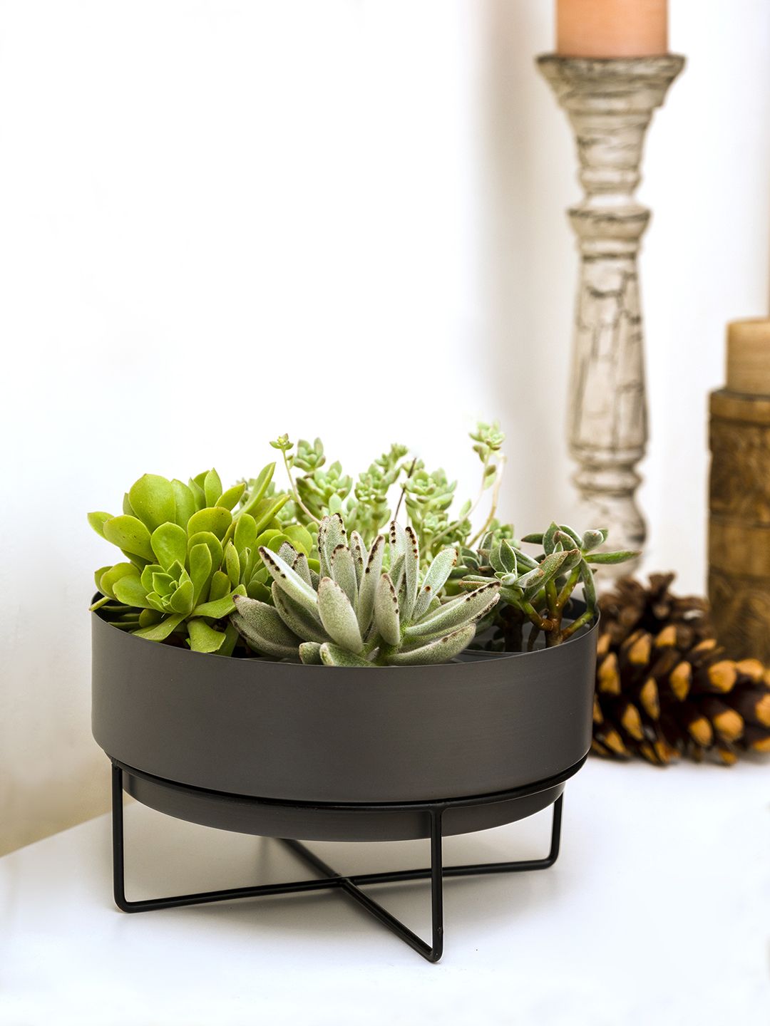 green girgit Grey Planter Pot with Metal Stand Price in India