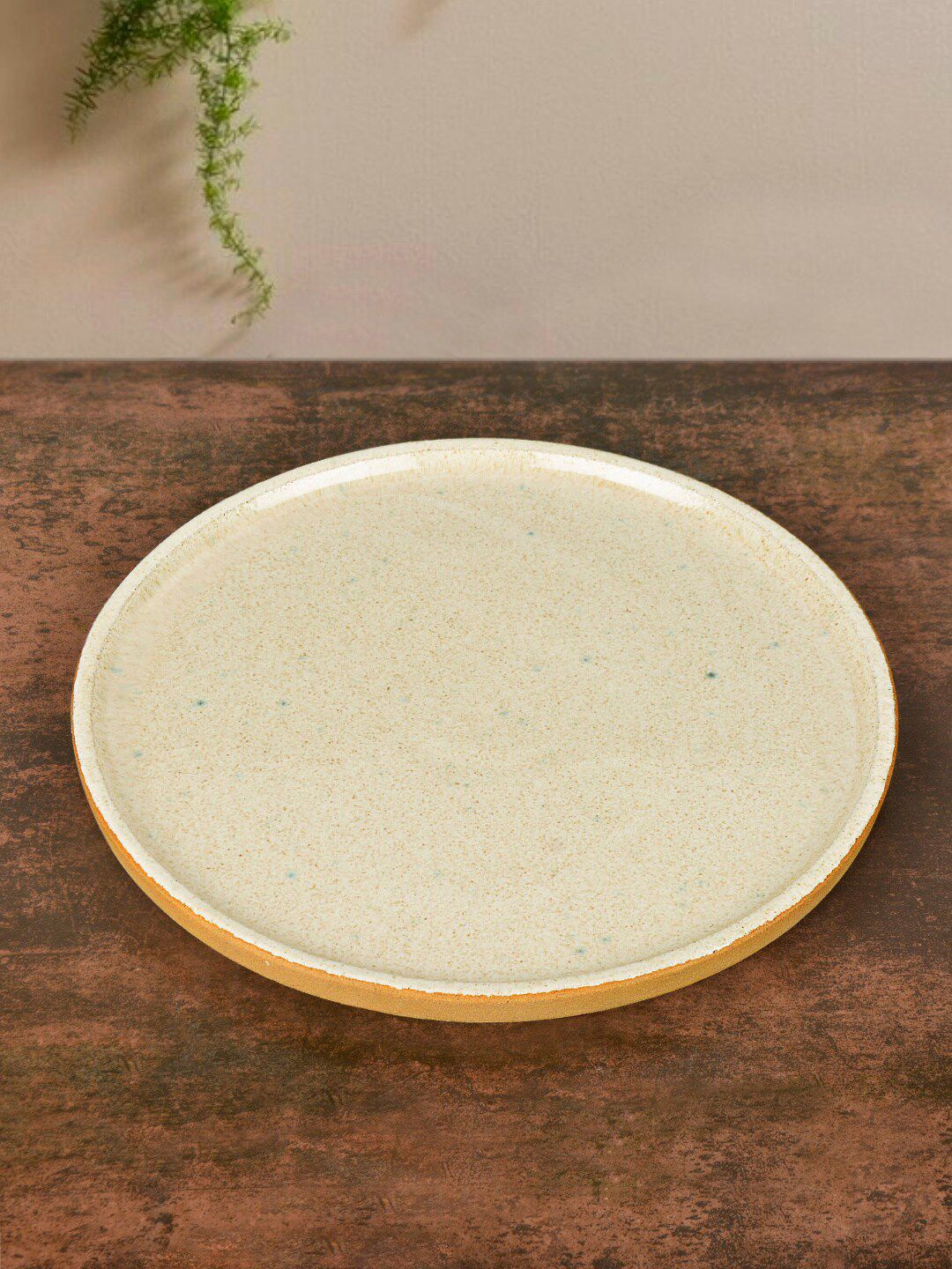 StyleMyWay Beige  Speckled Ceramic Pizza Plate Serveware Price in India