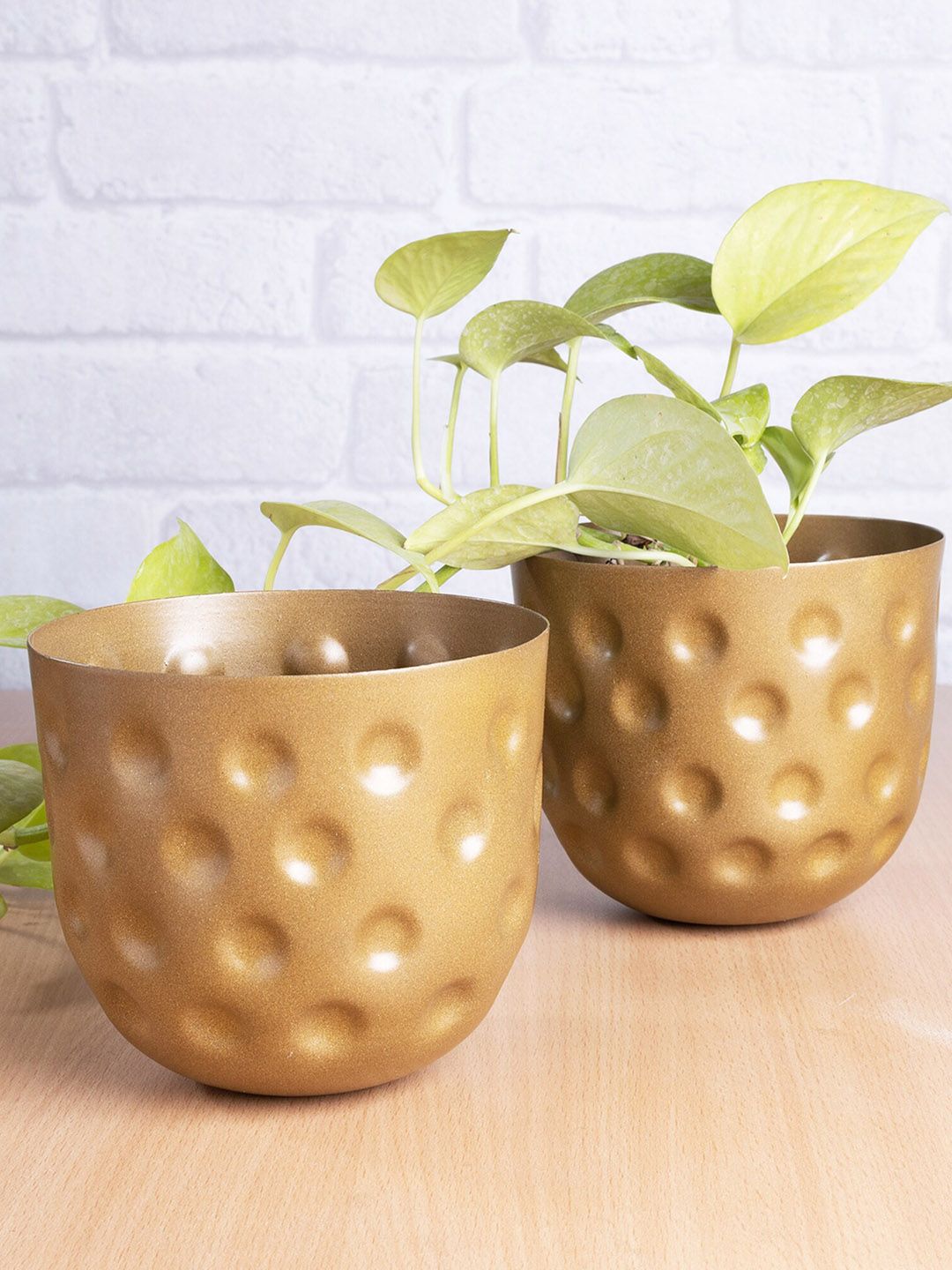 Homesake Set of 2 Gold-Toned Belly Bucket Planters Price in India