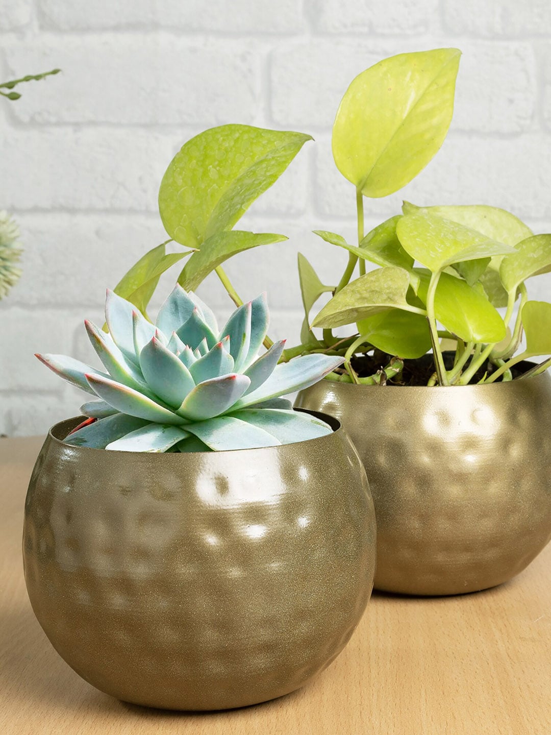 Homesake Set Of 2 Gold-Toned Country Style Belly Bucket Planters Price in India