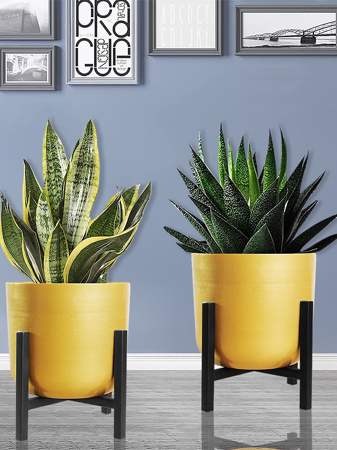 Homesake Set Of 2 Gold-Toned Solid Pot Planters Price in India
