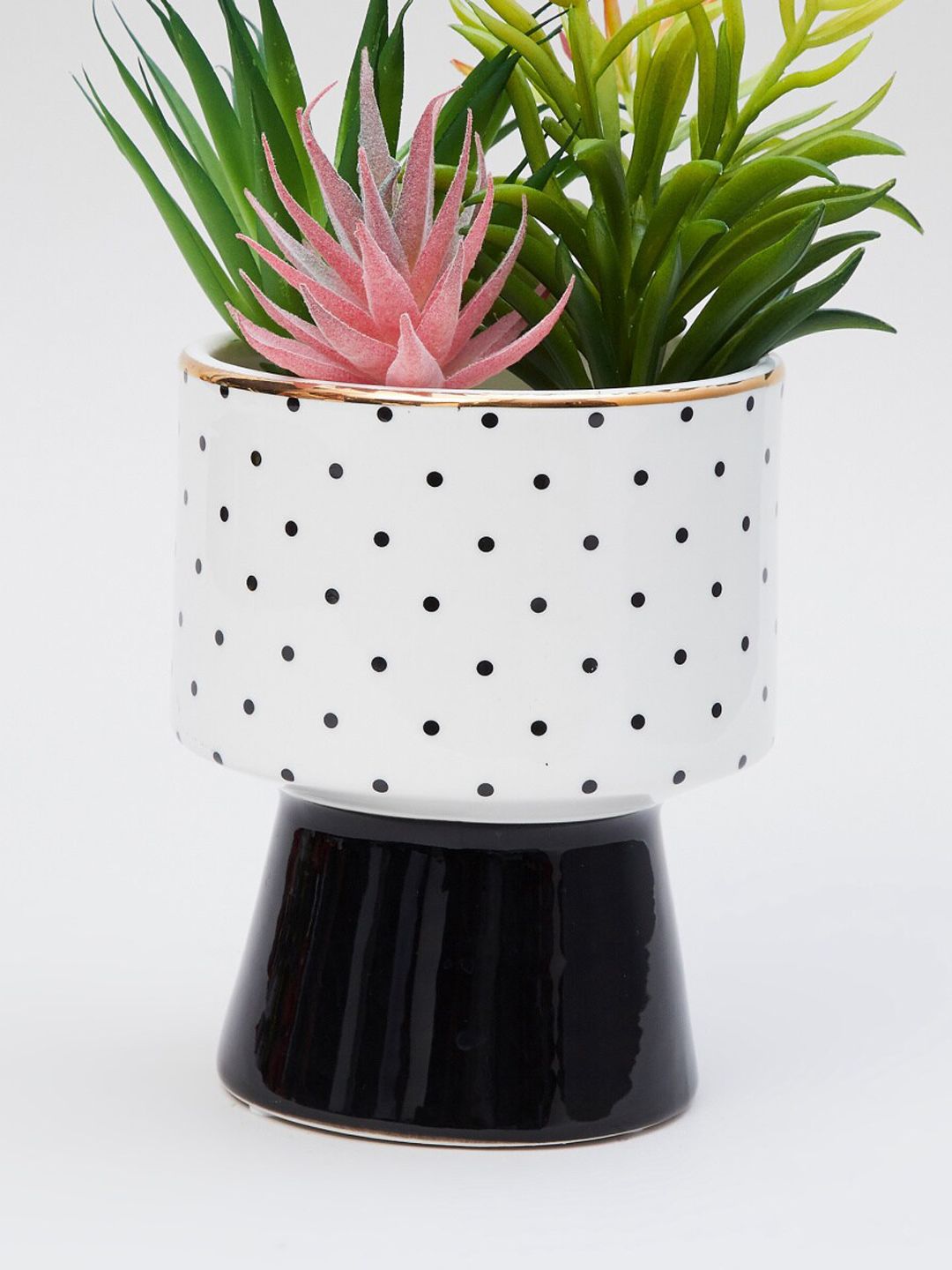 Home Centre Black & White Polka Dot Printed Ceramic Planter Price in India