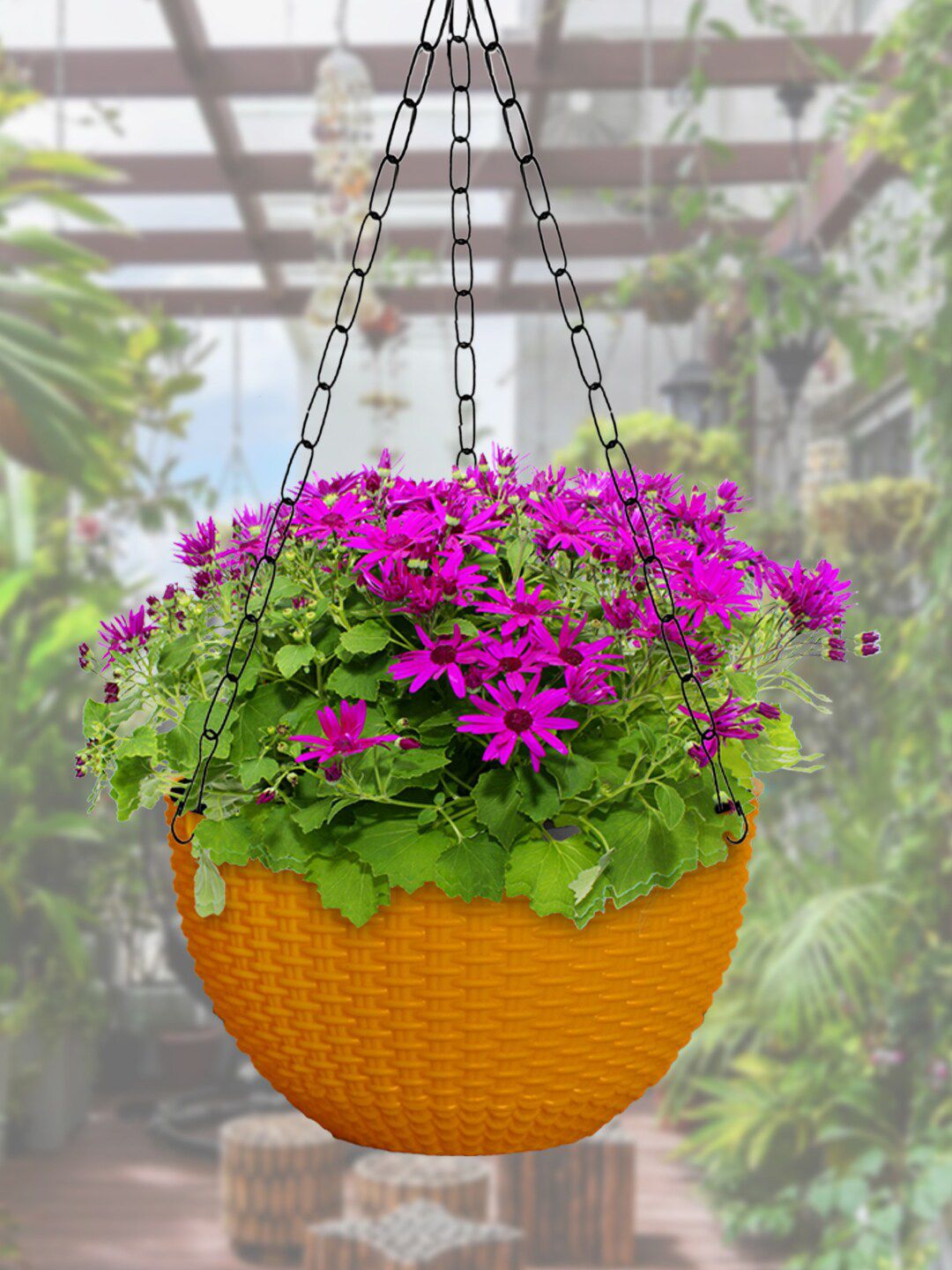 Kuber Industries Yellow Set Of 3 Large Plastic Hanging Flower Pot Price in India