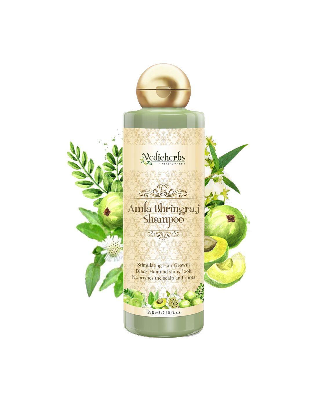 Vedicherbs Amla Bhringraj Shampoo 210 ml Price in India