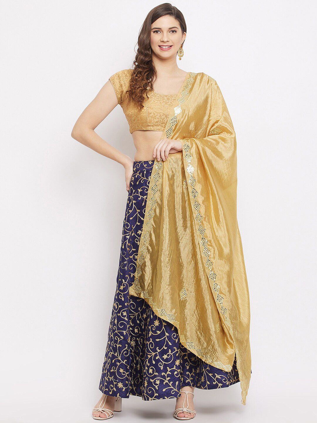 Clora Creation Beige & Grey Ethnic Motifs Embroidered Dupatta with Mirror Work Price in India