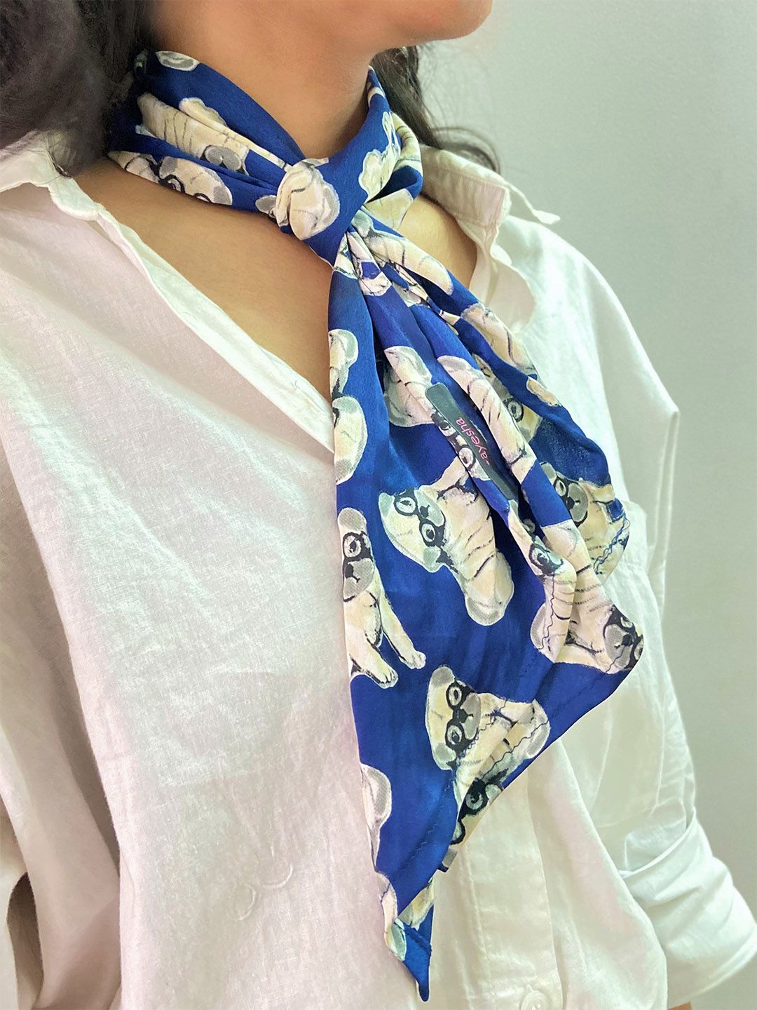 Ayesha Women Blue & Beige Printed Scarf Price in India