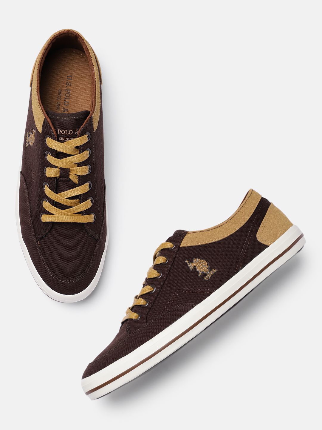 U.S. Polo Assn. Men Brown MONTON 4.0 Sneakers