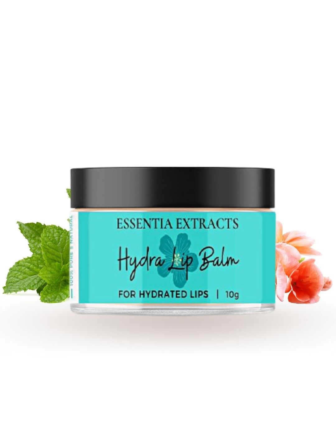 ESSENTIA EXTRACTS Women Hydra Paraben Free Long Lasting Lip Balm - 10g Price in India