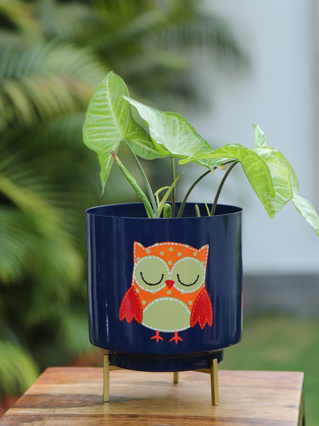 Amoliconcepts Blue & Red Owl Printed Planter With Stand Price in India