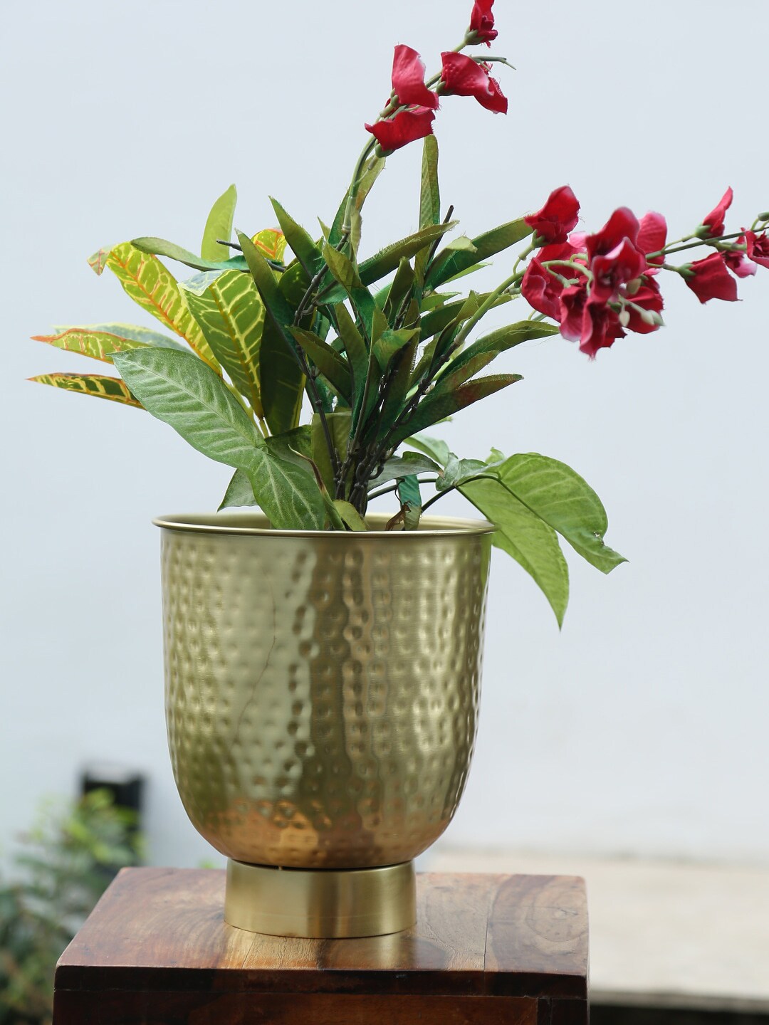 Amoliconcepts Gold-Toned Textured Planter Bucket Price in India