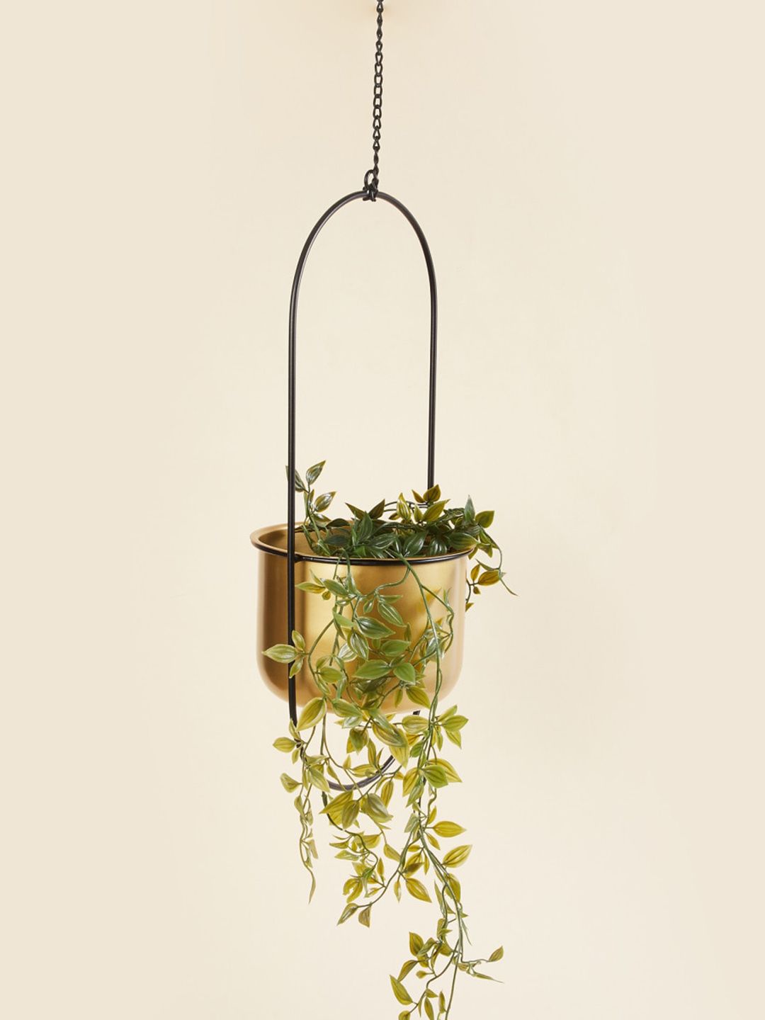 Valencia Rancher Gold-Toned Metal & Ceramic Hanging Planter Price in India