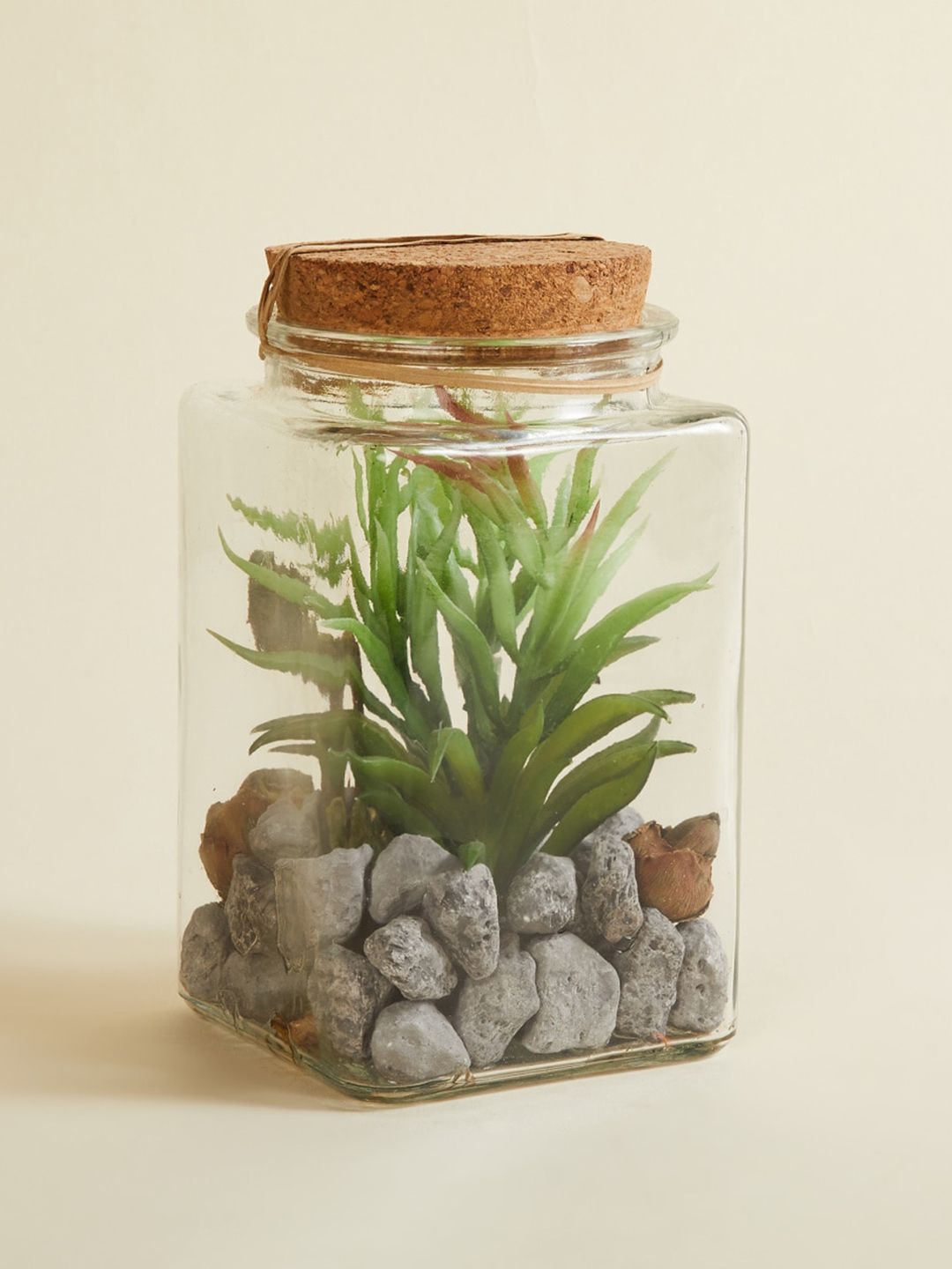 Home Centre Green Fiesta Mania Artificial Tiger Succulent In Glass Jar Price in India