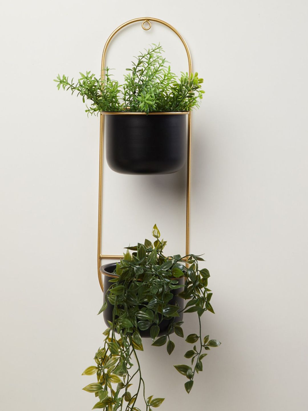 Home Centre Black & Gold Metal Wall Mounted Dual Planter Price in India