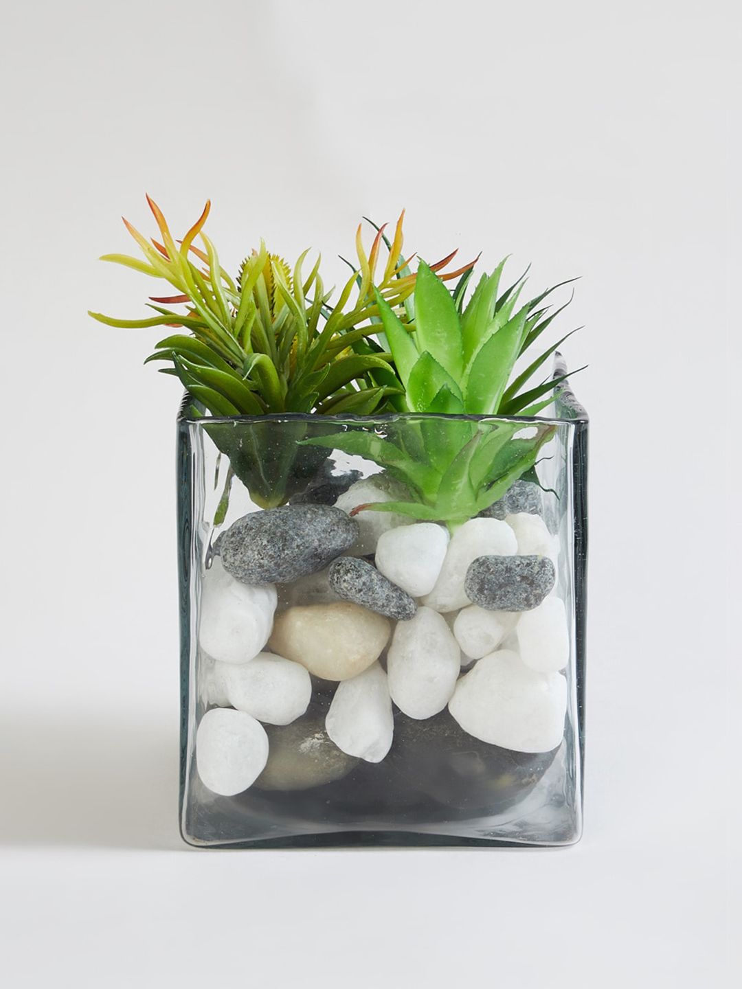 Home Centre Transparent Solid Square Glass Planter Price in India