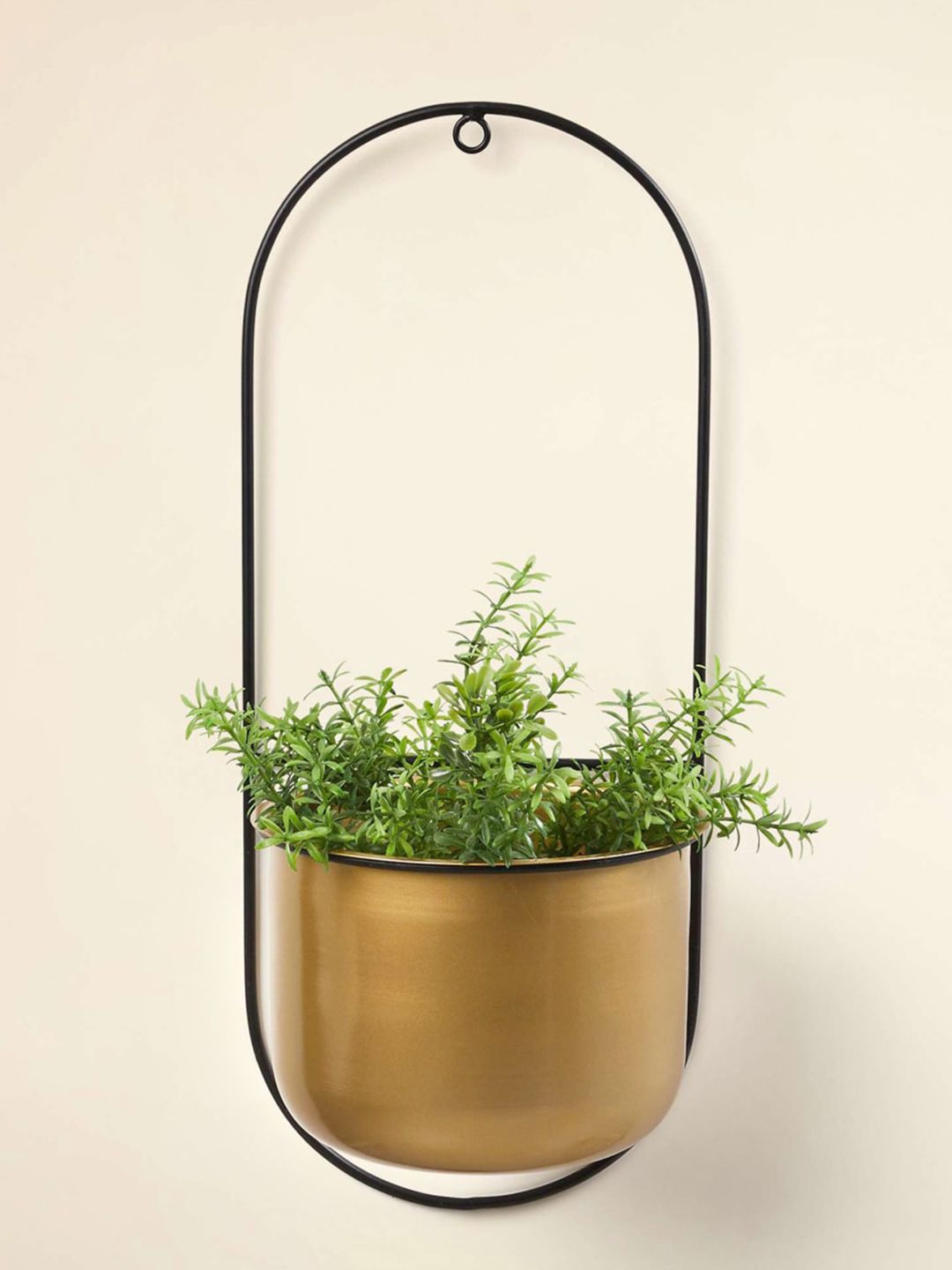 Home Centre Gold-Toned Solid Metal Wall Mounted Planter Price in India