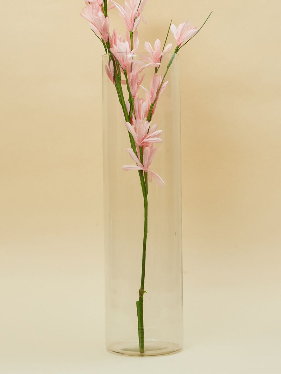 Home Centre Fiesta Transparent Solid Cylindrical Glass Floor Vase Price in India