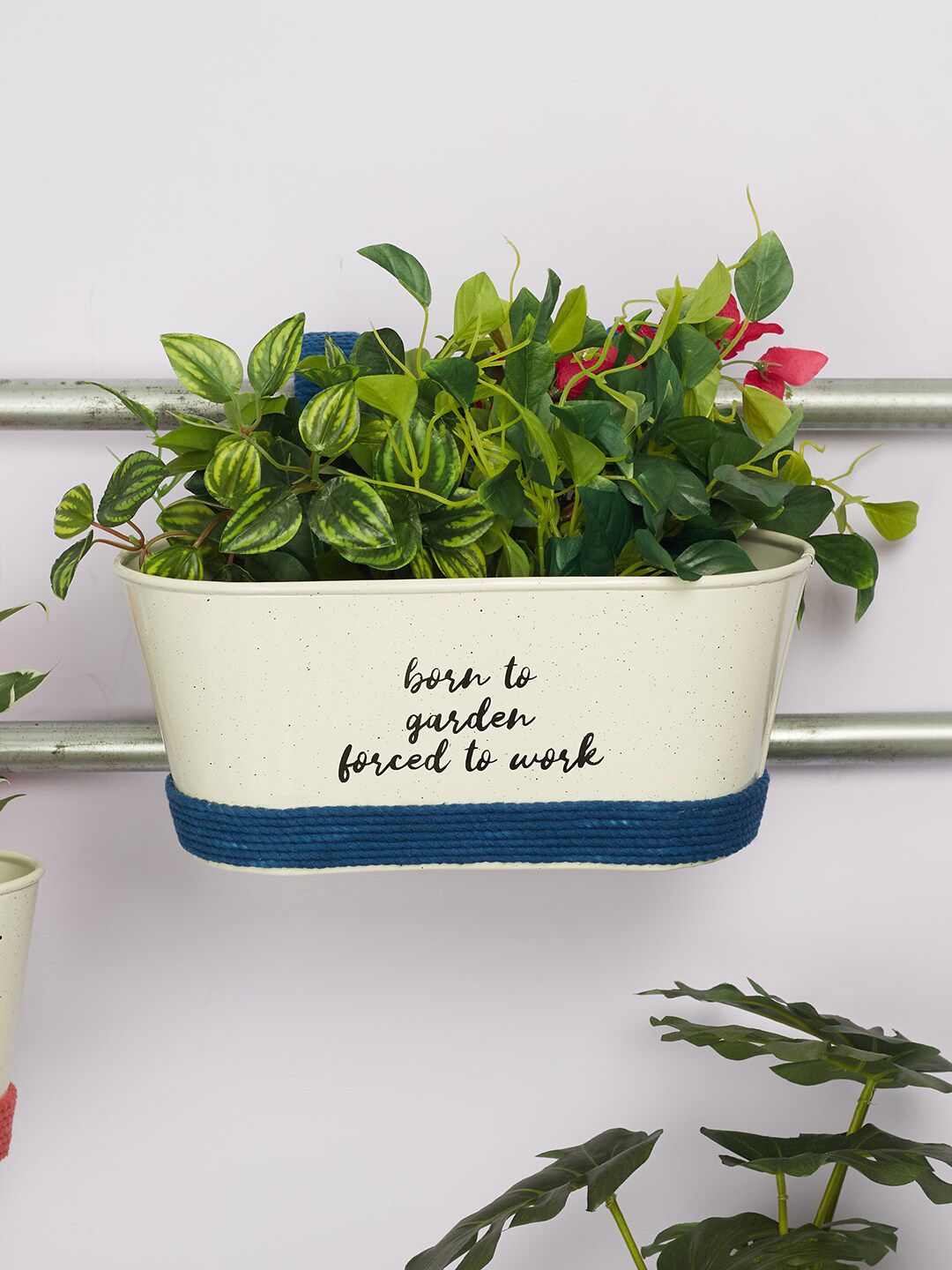 HomeTown Off White Solid Metal Planters Price in India