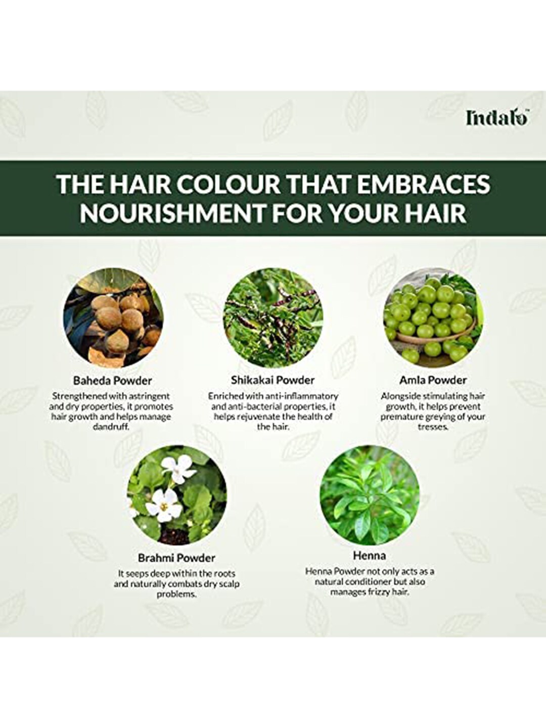 INDALO Set of 2 Herbal Based Hair Colour with Amla & Brahmi 100g Each - Light Brown Price in India