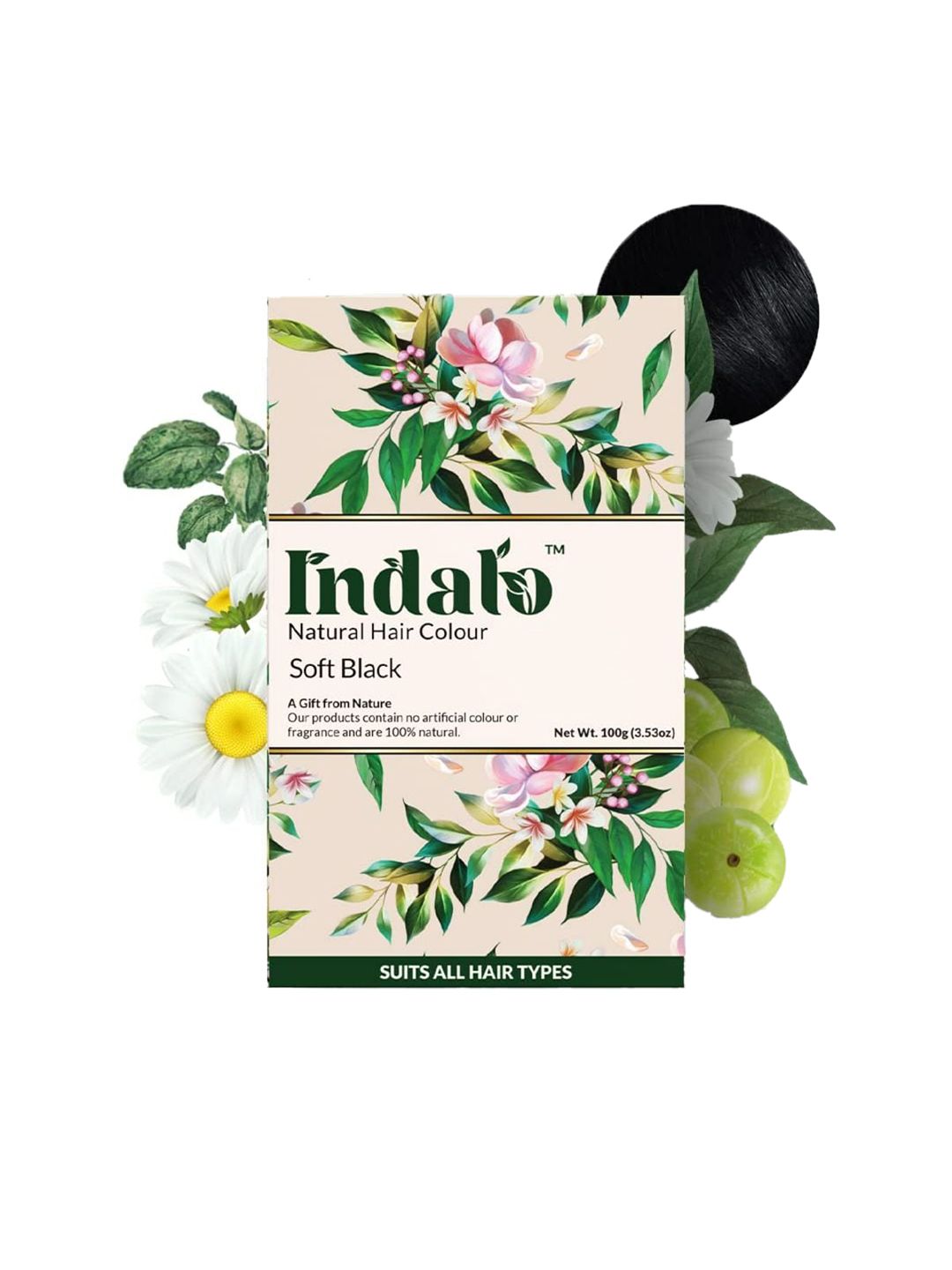 INDALO Unisex Natural Hair Colour Soft Black 100 gm Price in India