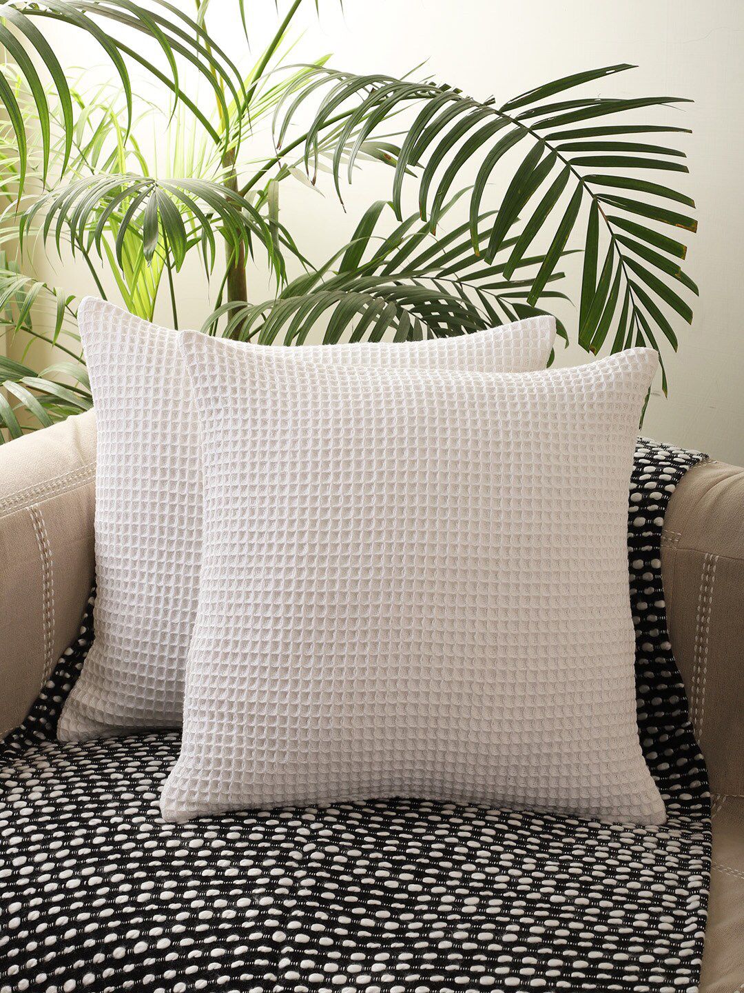 Jamio Firati White Set of 2 Square Cushion Covers Price in India