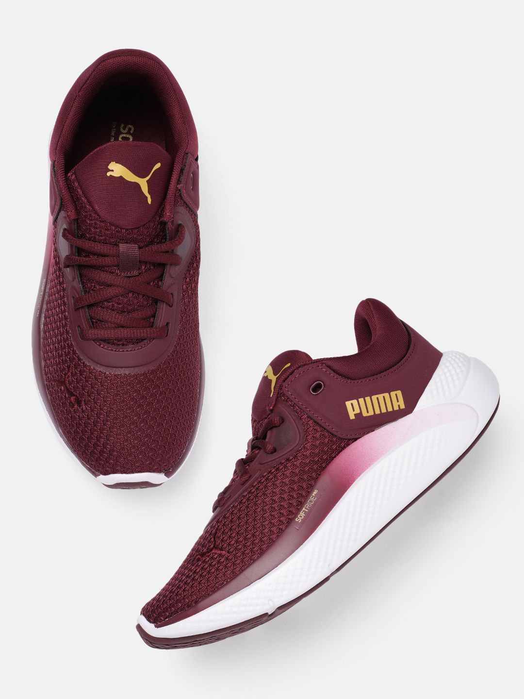 Puma Women Softride Pro Training Shoes Price in India