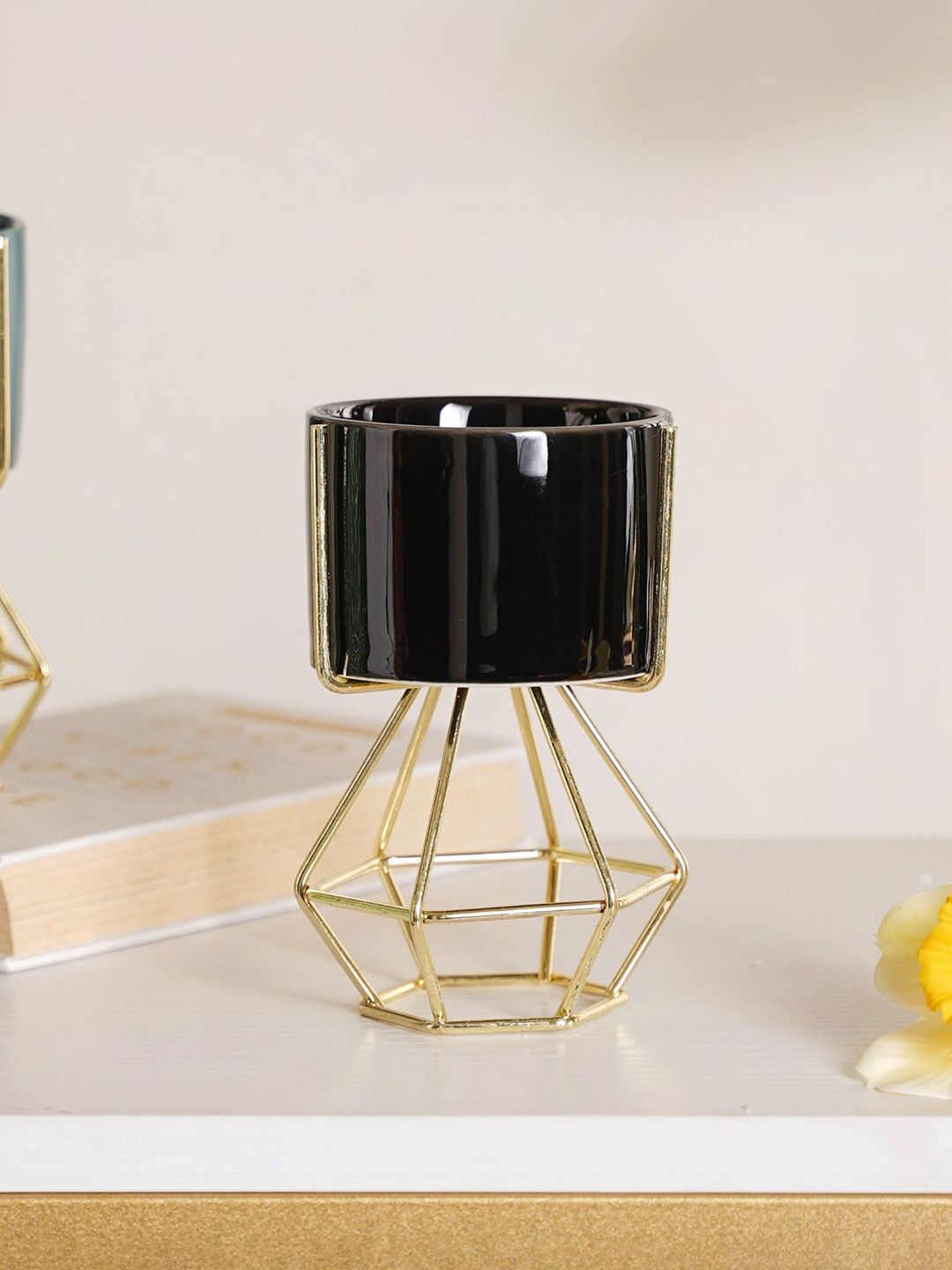 Nestasia Black and Gold Modern Cylindrical Succulent Planter With Holder Price in India