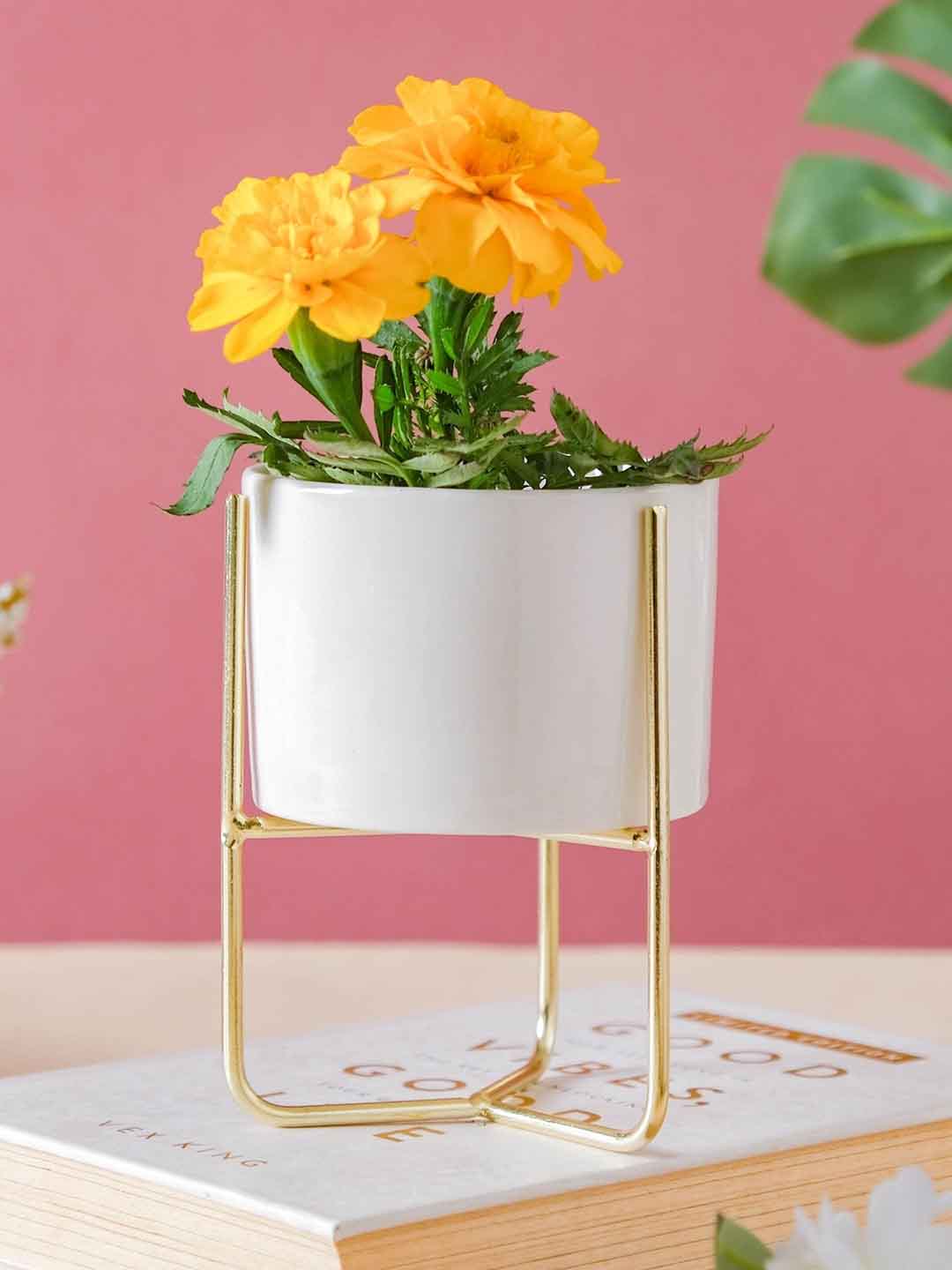 Nestasia Gold-Colored & White Solid Planters With Stand Price in India