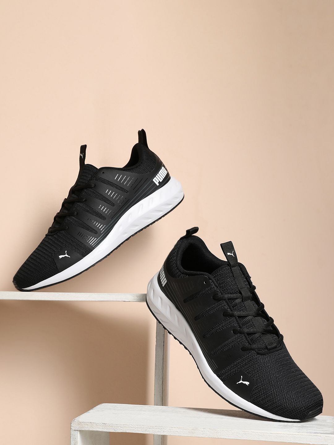 Puma Men Black Textile Shore Running Shoes