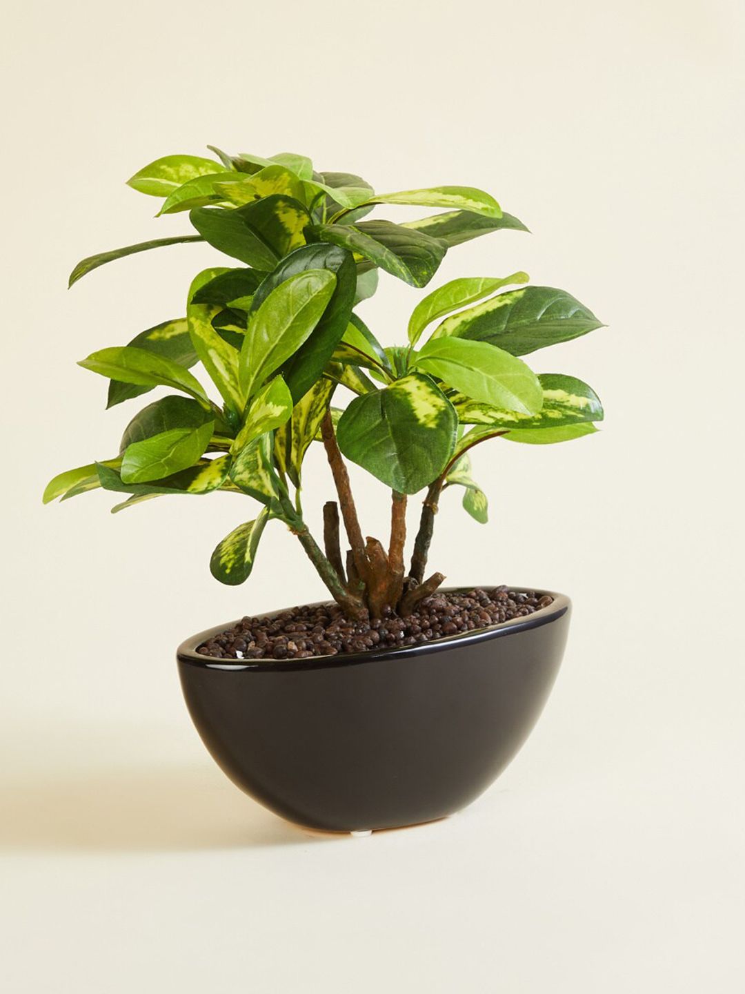 Home Centre Black & Green Solid Bonsai Artificial Plant With Pot Price in India