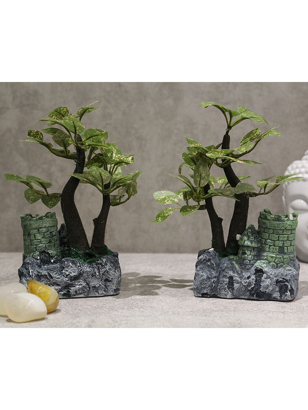 PolliNation Green Bonsai Plant With Ceramic Pot Price in India