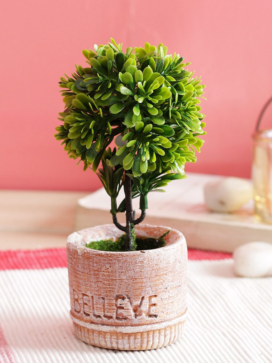 PolliNation Green Bonsai plant with Grey Resin Pot Price in India