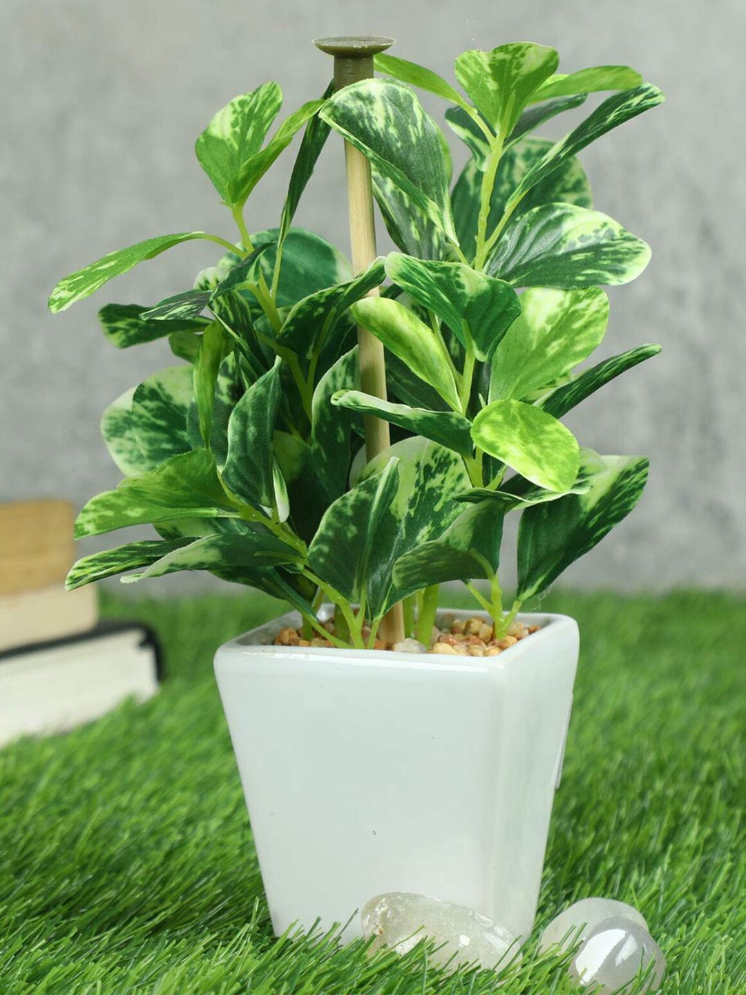 PolliNation Green & White Bonsai Artificial Plant With Ceramic Pot Price in India