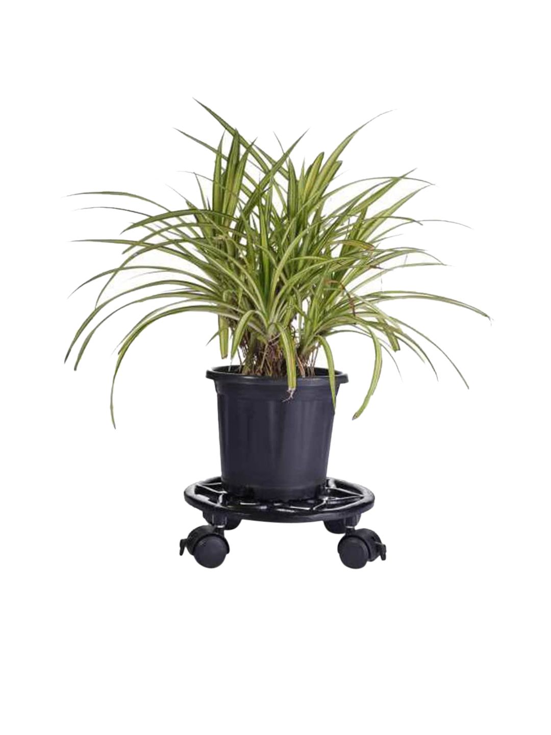 Sharpex Black Solid Metal Plant Stand Price in India