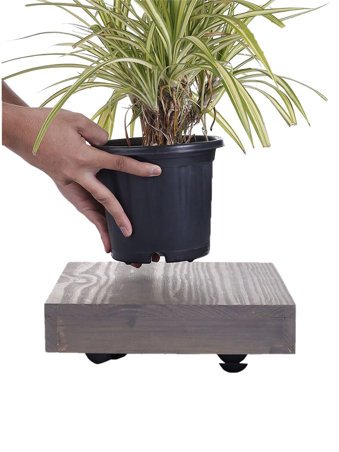 Sharpex Pack of 4 Grey Self Design Wooden Plant Stand Price in India
