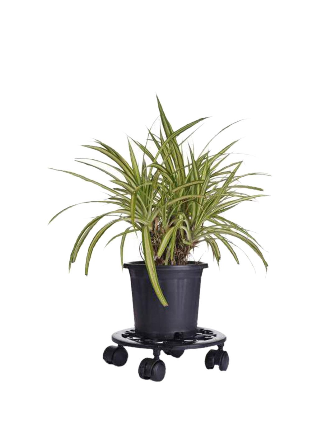 Sharpex Black Textured Metal Plant Stand Price in India