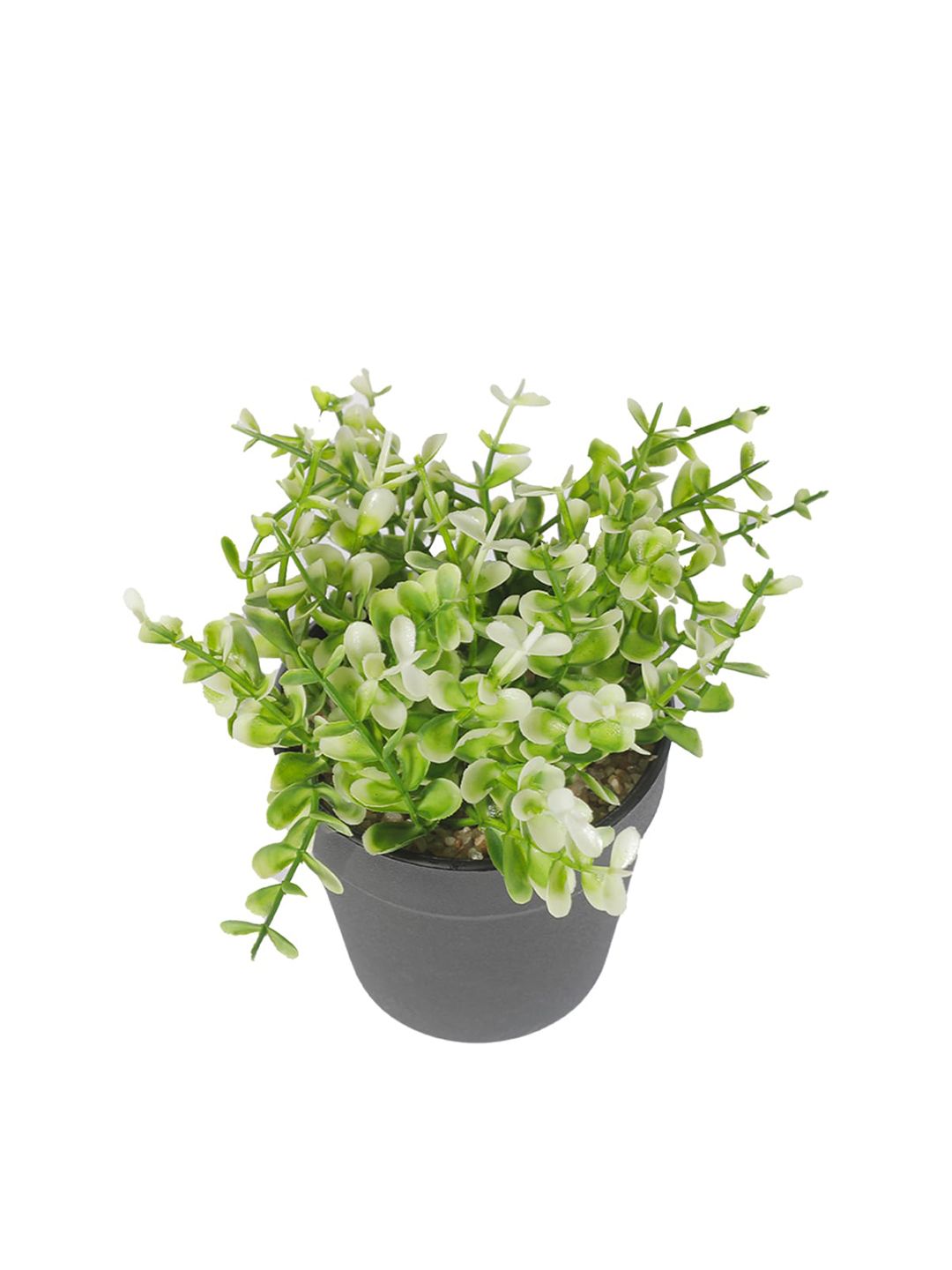 MARKET99 Green & Black Artificial Flower Potted Plant Price in India