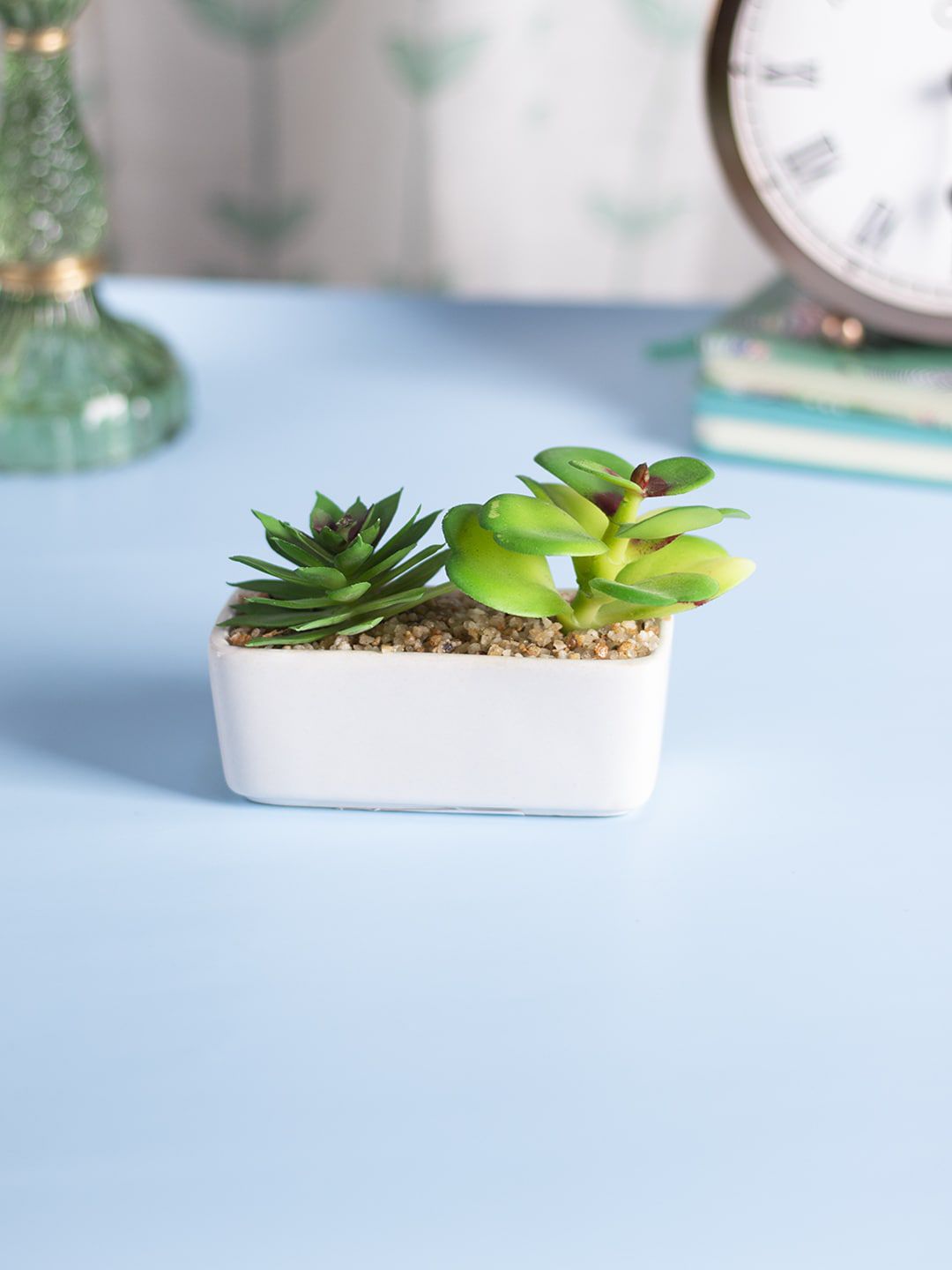 MARKET99 White  Succulent Planters With Rectangular Flower Pot Price in India