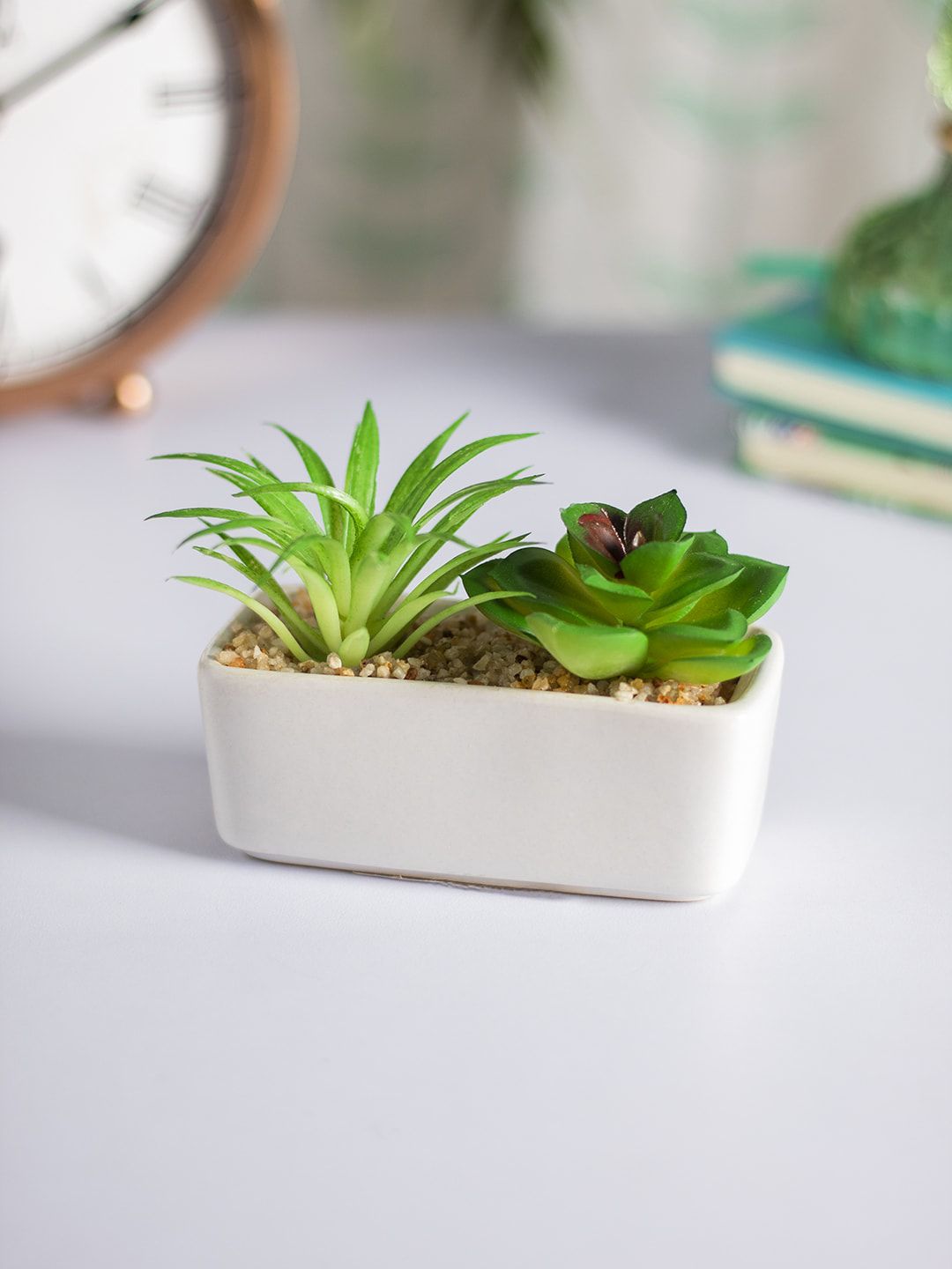 MARKET99 White & Green Succulent Planters With Rectangular Flower Pot Price in India