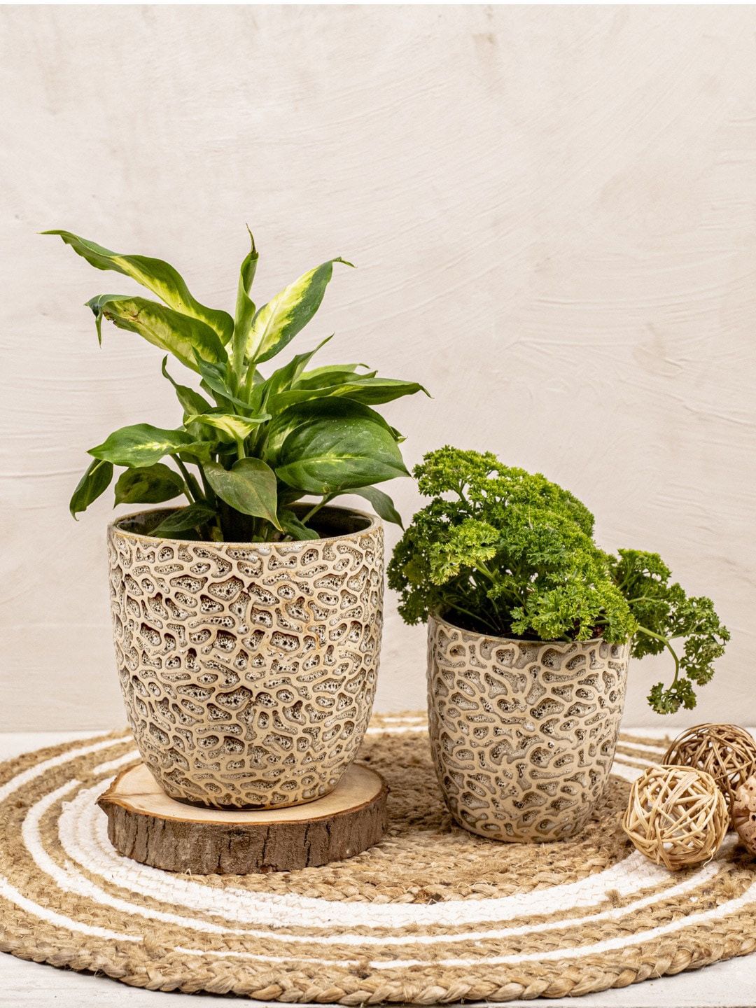 The 7 DeKor Set Of 2 Brown Textured Planters Price in India