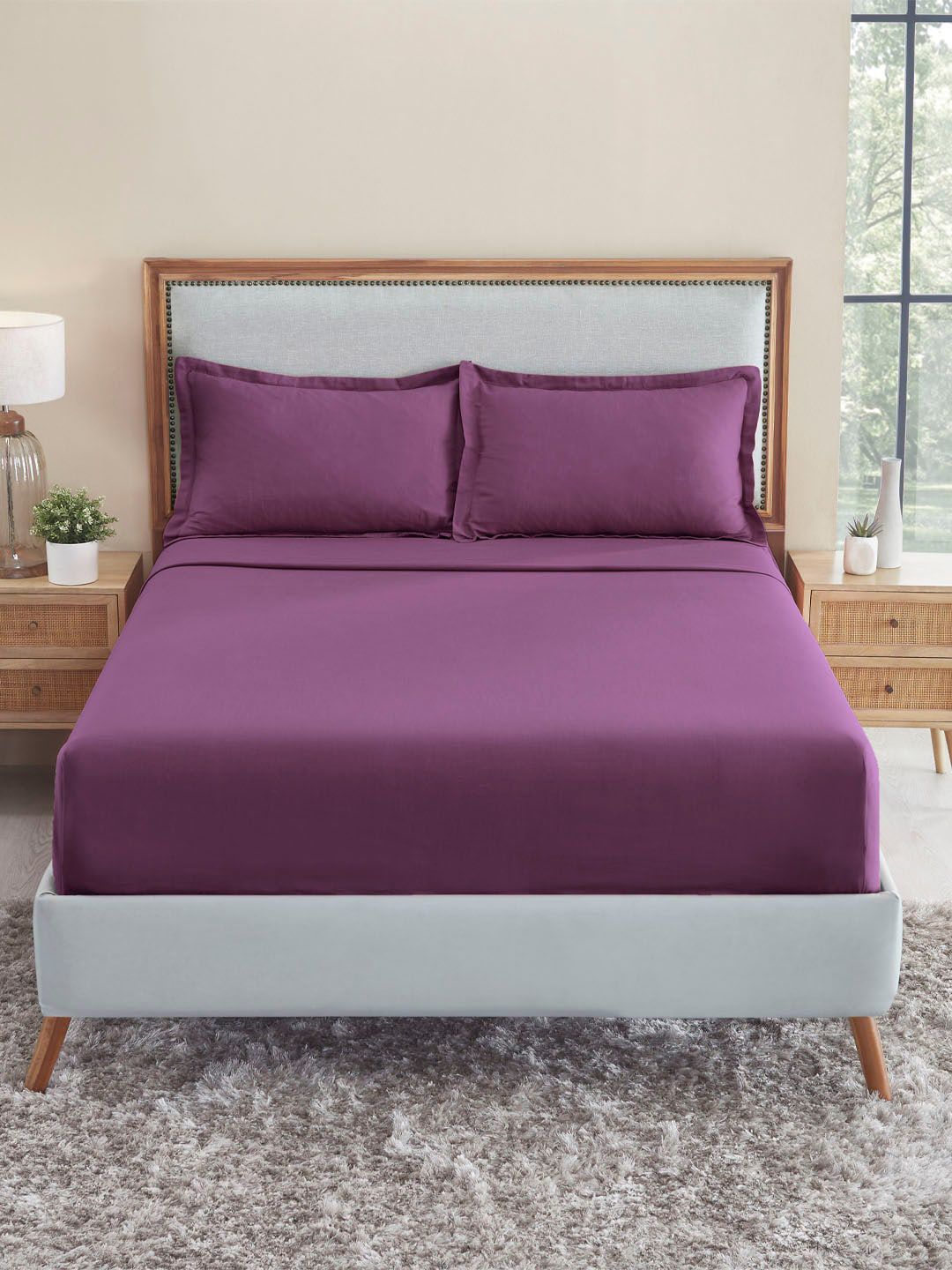 Trident Violet 150 TC King Bedsheet with 2 Pillow Covers Price in India