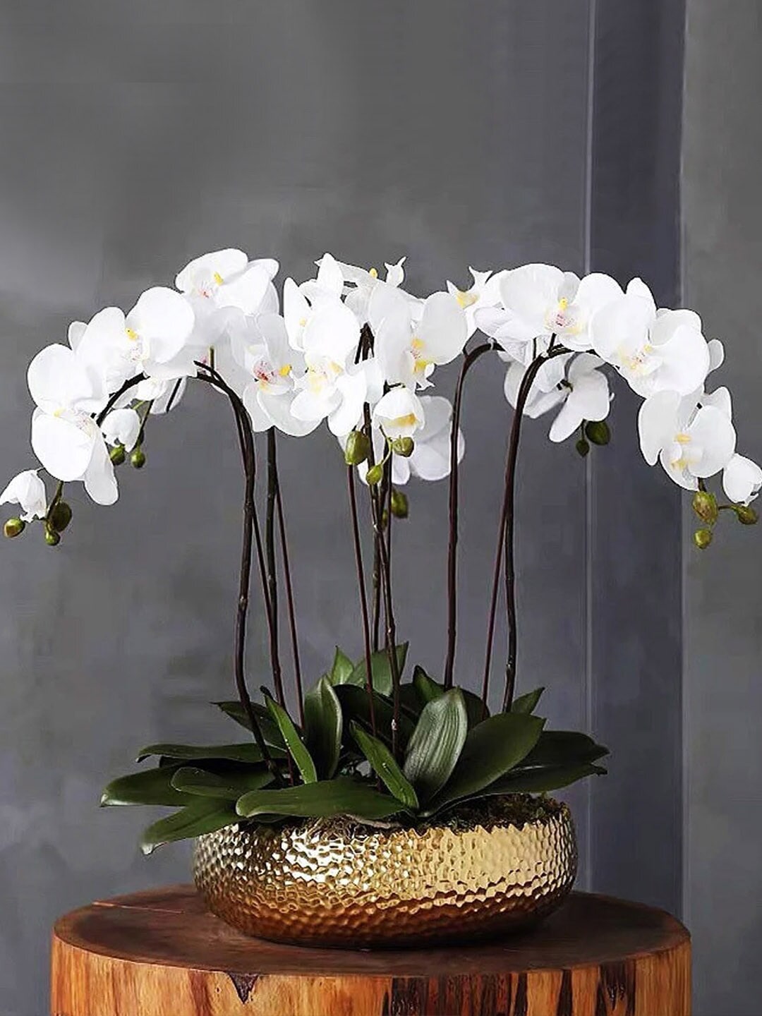 TIED RIBBONS Set Of 3 Artificial Orchid Flower Sticks Without Vase Price in India