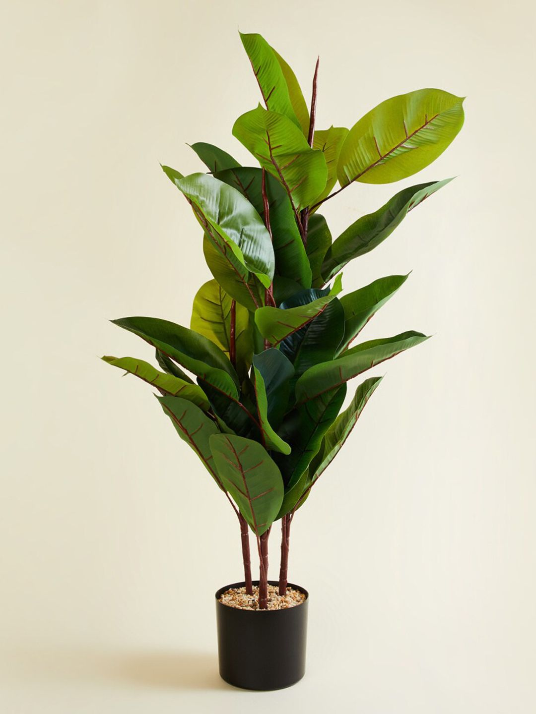 Home Centre Textured Artificial Rubber Tree With Ceramic Pot Price in India