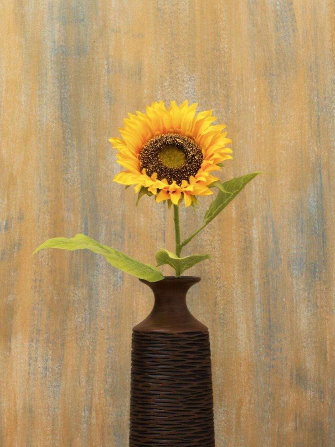 Home Centre Botanical Plastic Single Piece Sunflower Price in India