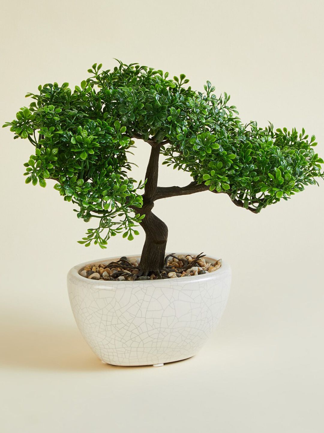 Home Centre Green Artificial Rhyne Bonsai Tree in Ceramic Pot Price in India