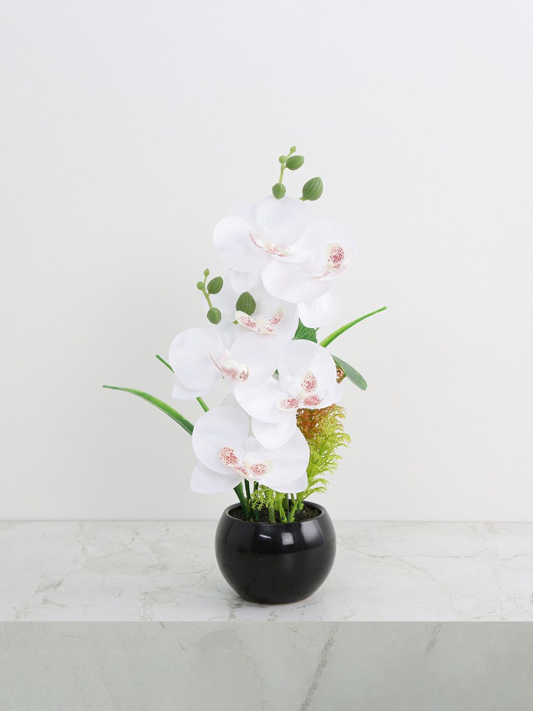 Home Centre White Orchid Artificial Flowers In Pot Price in India