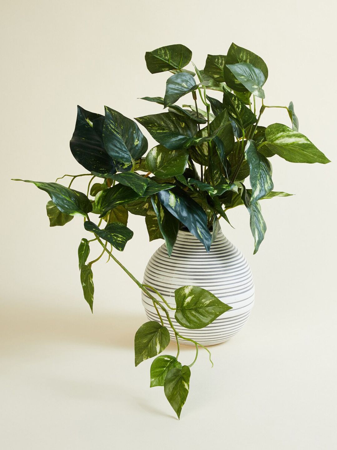 Home Centre White & Green Textured Pothos Artificial Plants With Pot Price in India