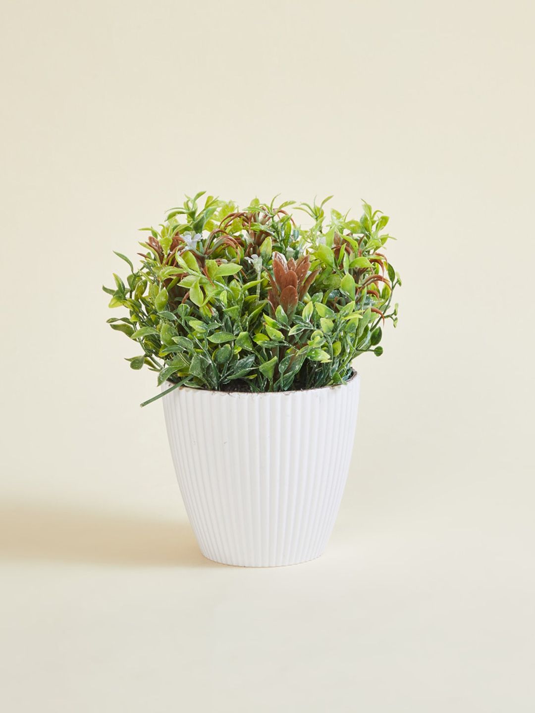 Home Centre White & Green Textured Artificial Plants With Pot Price in India